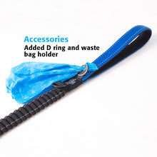 Load image into Gallery viewer, ROGZ Control Lead - Shock Absorbing Bungee Dog Lead
