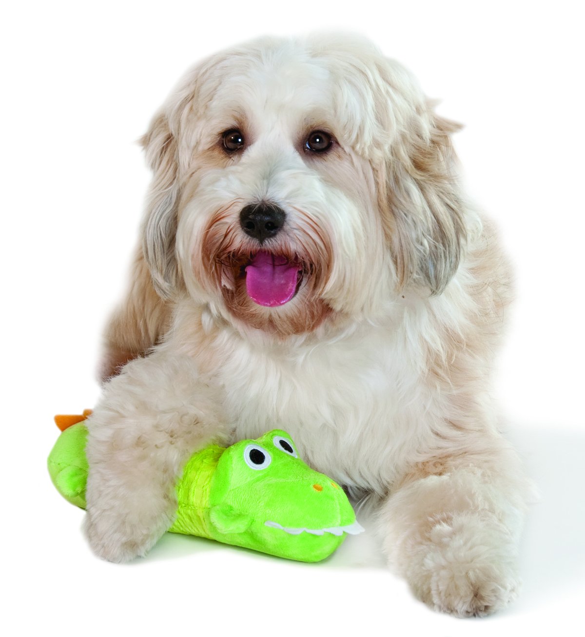 Big Sqeak Gator Stuffing Free Dog Toy
