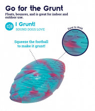 Load image into Gallery viewer, Grunt &#39;n Punt Football Dog Toy
