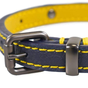 Joules Leather Dog Collar