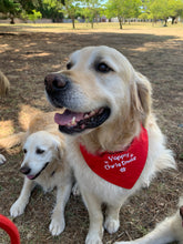 Load image into Gallery viewer, Festive Bandana with a quality ROGZ Classic Collar
