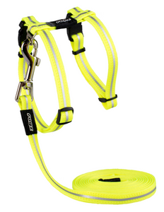 ROGZ Alley Cat Reflective H-Harness and Lead Set - Small & X-Small