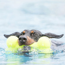 Load image into Gallery viewer, Airdog Yellow Squeaker Bone Dog Toy
