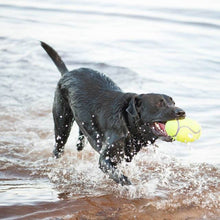 Load image into Gallery viewer, Airdog Yellow Squeaker Dumbbell
