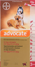 Load image into Gallery viewer, Advocate Spoton Flea Treatment for Dogs and Cats - 3 Pips
