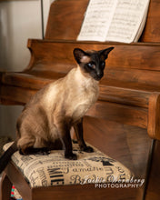 Load image into Gallery viewer, Jackie Wernberg Photography
