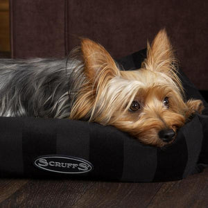 Scruffs AristoCat Lounger Cat Bed (or a bed for a small dog) - Tan