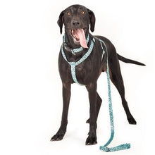 Load image into Gallery viewer, URBANPAWS Bolt Dog Lead 1,2m
