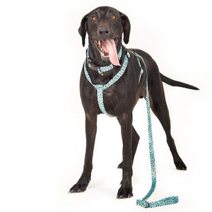 URBANPAWS Bolt Dog Lead 1,2m