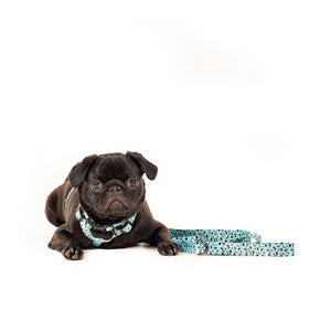 URBANPAWS Bolt Dog Lead 1,2m