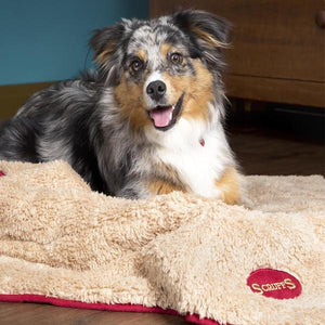 SCRUFFS Snuggle Pet Blanket 100cm x 75cm