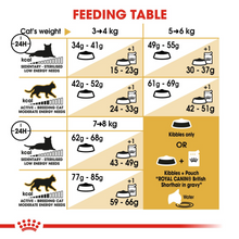 Load image into Gallery viewer, ROYAL CANIN British Shorthair Adult Cat Food
