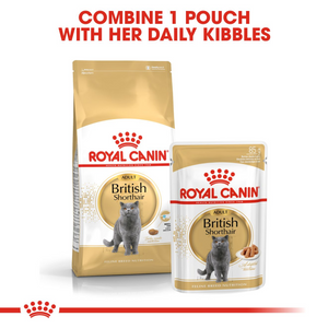 ROYAL CANIN British Shorthair Adult Cat Food