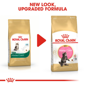 ROYAL CANIN Maine Coon Kitten Food