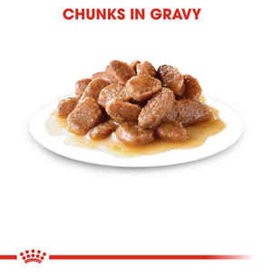 ROYAL CANIN® Intense Beauty in Gravy - Box of 12x85g