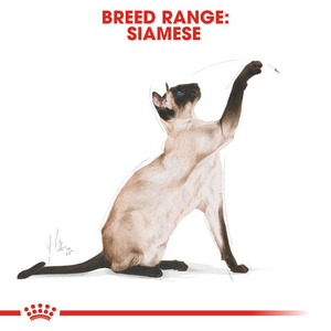 ROYAL CANIN® Siamese & Oriental Adult Cat Food