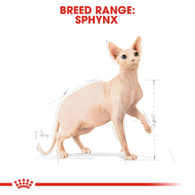 Load image into Gallery viewer, ROYAL CANIN Sphynx Adult Cat Food
