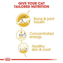 Load image into Gallery viewer, ROYAL CANIN Maine Coon Adult Wet Food Pouches 12 x 85g
