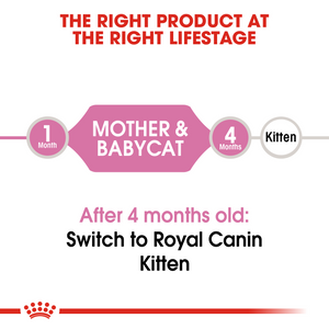 ROYAL CANIN Mother & Babycat Food