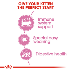 ROYAL CANIN Mother & Babycat Food