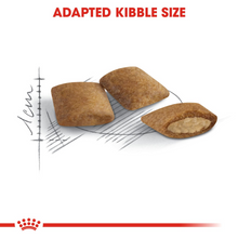 Load image into Gallery viewer, ROYAL CANIN HEALTH Ageing 12+ Cat Food - 400g, 2kg or 4kg
