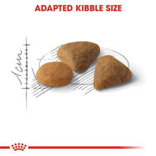 Load image into Gallery viewer, ROYAL CANIN Savour Exigent Adult Cat Food - 400g, 2kg, 4kg or 10kg
