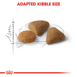 ROYAL CANIN Savour Exigent Adult Cat Food - 400g, 2kg, 4kg or 10kg