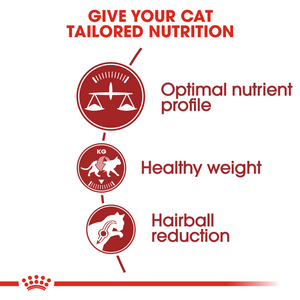 ROYAL CANIN Fit Adult Cat Food