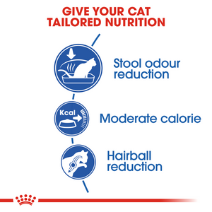 ROYAL CANIN Indoor Cat Adult Food