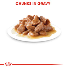 Load image into Gallery viewer, ROYAL CANIN Instinctive Wet Cat Food Pouches in Gravy
