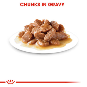 ROYAL CANIN Instinctive Wet Cat Food Pouches in Gravy