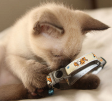 Load image into Gallery viewer, ROGZ GlowCat Reflective Glow-in-the-Dark Safeloc Breakaway Cat Collar
