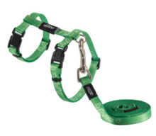 Load image into Gallery viewer, ROGZ KiddyCat H-Harness and Lead Set Small (11mm) &amp; X-Small (8mm)
