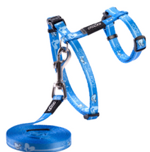 Load image into Gallery viewer, ROGZ KiddyCat H-Harness and Lead Set Small (11mm) &amp; X-Small (8mm)
