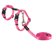 Load image into Gallery viewer, ROGZ KiddyCat H-Harness and Lead Set Small (11mm) &amp; X-Small (8mm)
