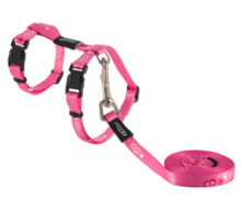 Load image into Gallery viewer, ROGZ KiddyCat H-Harness and Lead Set Small &amp; X-Small
