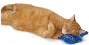 Kitty Cuddle Pal Cat Toy Bizzibabs Scratch Patch Online Pet Store
