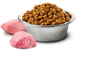FARMINA N&D PUMPKIN GRAIN-FREE: Puppy Dog Food for All Breeds Chicken and Pomegranate