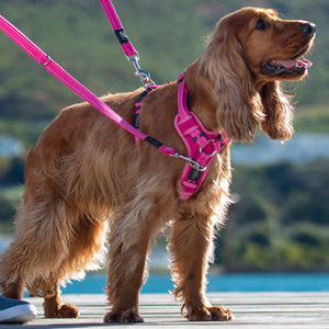 ROGZ Control Harness Two Point Steering