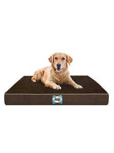 SEALY Cushy Comfort Dog Bed