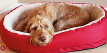 Load image into Gallery viewer, Rosewood Red Orthopeadic Dog Bed - Large 86cm / Medium 66cm
