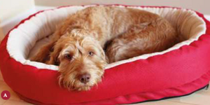 Rosewood Red Orthopeadic Dog Bed - Large 86cm / Medium 66cm