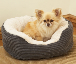 Rosewood Jumbo Plush Cord Dog Bed