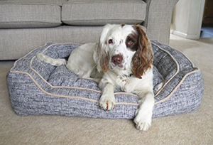 Slate & Oatmeal Rosewood Dog Bed