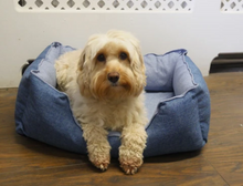 Load image into Gallery viewer, Luxury Cooling Dog Bed - 60cmx53cmx16cm
