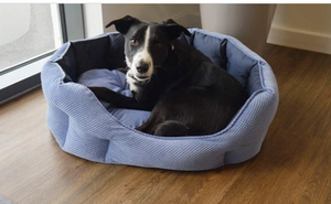 Rosewood Quilted Navy Water-Resistant Bed Dog Bed Small, Medium & Large
