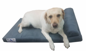 The Pharaoh Memory Foam Mattress