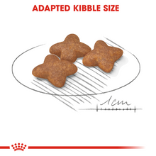 Load image into Gallery viewer, ROYAL CANIN Mini Adult From 10 Months Dog Food
