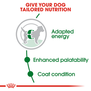 ROYAL CANIN Mini Adult From 10 Months Dog Food
