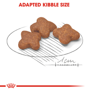 ROYAL CANIN Mini Adult 8+ Years Dog Food - 2kg & 8kg
